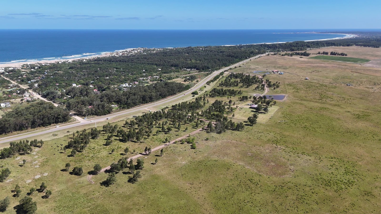 Mucho espacio, mucha vida