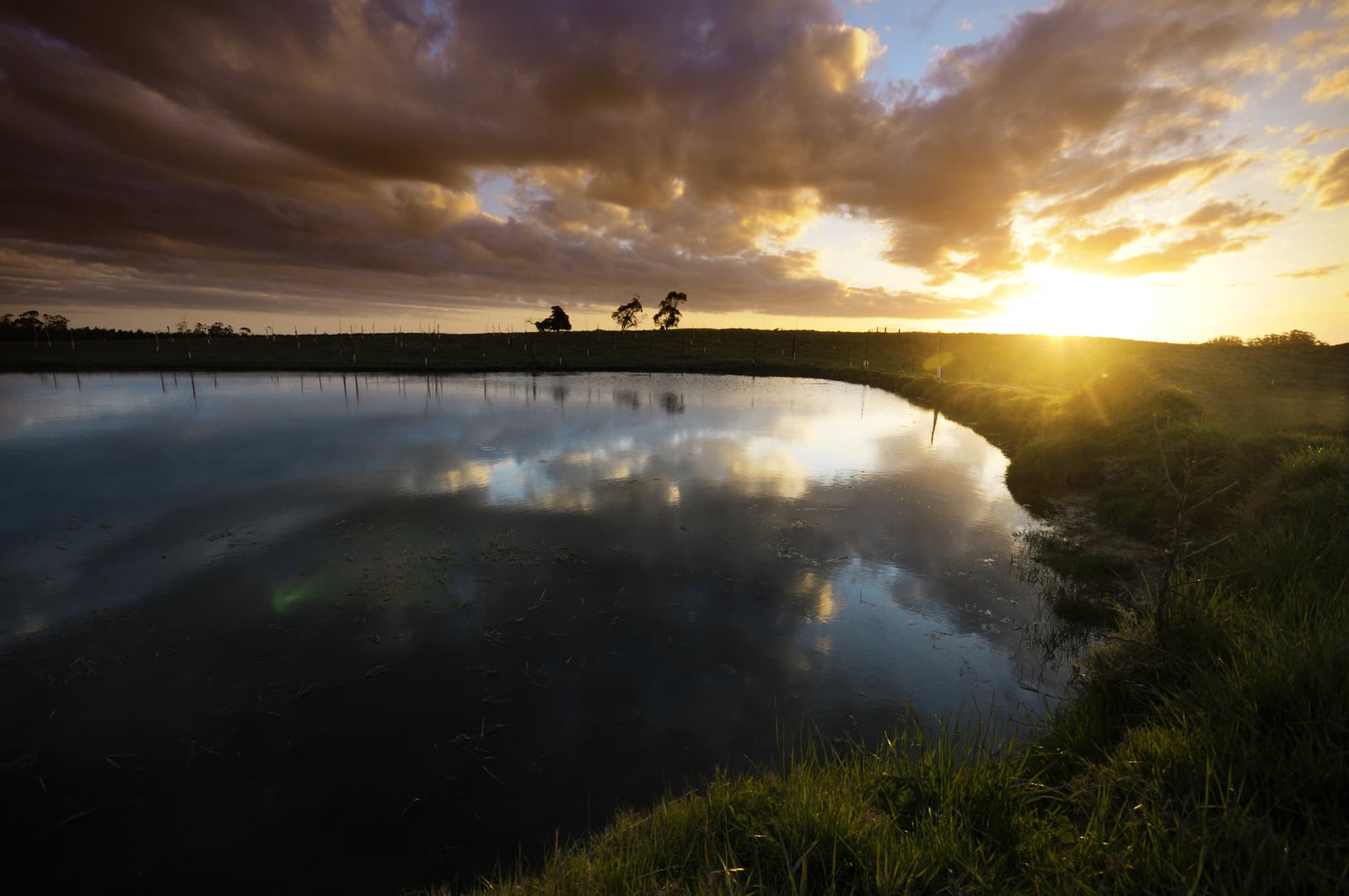 Mucho espacio, mucha vida